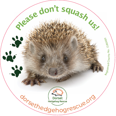 Please Don't Squash Us Sticker