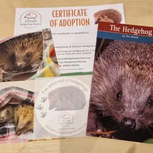 Adopt a Hedgehog