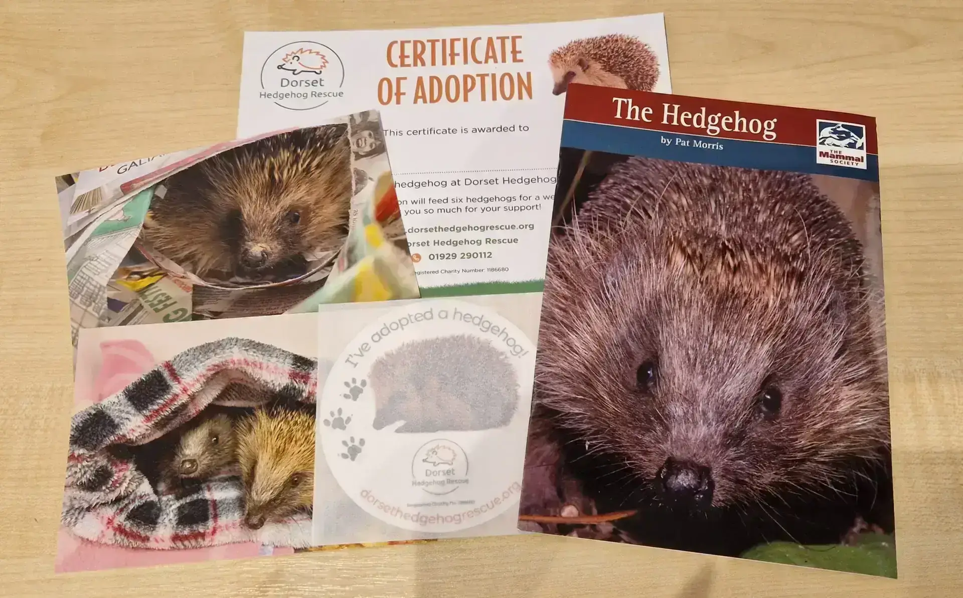 Adopt a Hedgehog