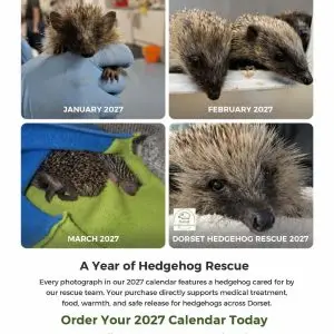 2027 Calendar